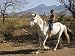 Boy Riding White Horse Bareback with Volcan Mombacho in Background, Granada, Nicaragu...