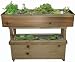 Aquaponic System Farm in a Box - San Antonio