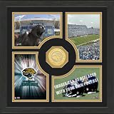 NFL Jacksonville Jaguars "Fan Memories" Photo Mint