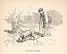 1894 Wood Engraving Hunter Hound Black Truffle Mushroom Périgord France Art - Original In-Text Wood