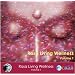 Rasa Living Wellness, Vol. 1