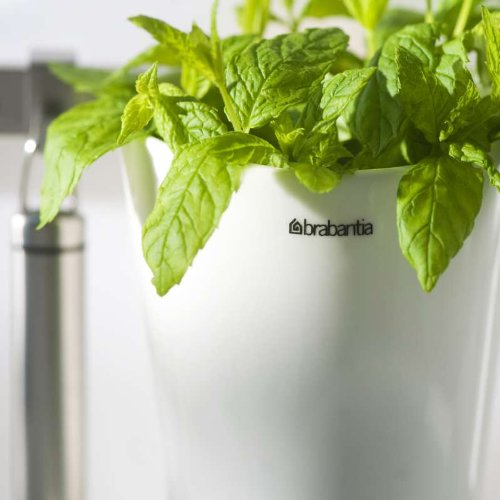 Imagen 4 de Brabanita 460289