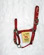 Hamilton Deluxe 3/4" Nylon Horse Halter with Adjustable Chin and Snap, Red, Weanling/Large Pony (200-300 lbs)