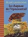 Le chapeau de l'�pouvantail