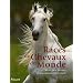 Races de Chevaux du Monde