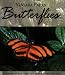 Book Niagara Parks Butterflies