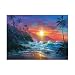 Search : Tropical Sunrise Jigsaw Puzzle 1500pc