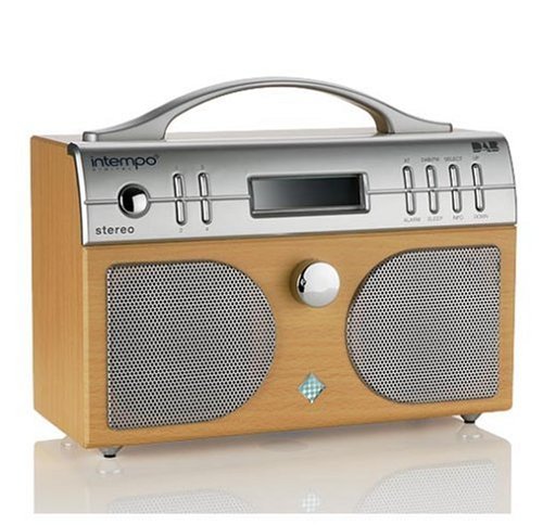 Childrens Toyshop  Electronics : Intempo PG-01 DAB Digital Radio