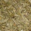 yerba mate tea