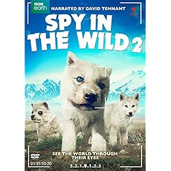 Spy in the Wild: Part Two
