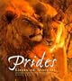 Prides: The Lions of Moremi