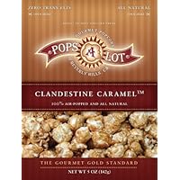 Popsalot Gourmet Popcorn, Clandestine Caramel, 5-Ounce Pouches (Pack of 6)