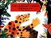 Books : The Leopard's Drum, Bengali/English-Language Edition: An Asante Tale from West Africa (Dual Language)