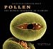 Pollen: The Hidden Sexuality of Flowers