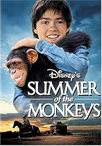 Summer of the Monkeys