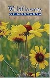Wildflowers Of Montana