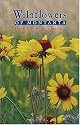 Wildflowers Of Montana