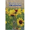 Wildflowers of Montana