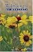 Wildflowers Of Montana