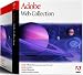 Adobe Web Collection 7 (Photoshop, Illustrator, Acrobat Standard et GoLive)