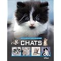Encyclop�die essentielle des chats