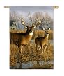 Our Side of the River Silk Reflections Regular Size Flag