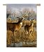 Our Side of the River Silk Reflections Regular Size Flag