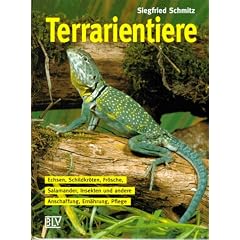 Terrarientiere