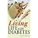Accounts of Life with Illness and Disability