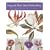 Long And Short Stitch Embroidery: A Collection of Flowers