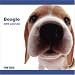   - Beagle Dog 2009 Wall 12''x12'' Calendar by THE DOG Artlist Collection