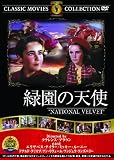 緑園の天使 [DVD]