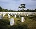 Memorial Day at Arlington National Cemetery in Virginia - Touching 16