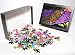 Photo Jigsaw Puzzle of Peacock Butterfly - on Buddleia Bush (Buddleia davidii) from Ardea Wildlife Pets