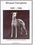Whippet Champions: 1981-1986