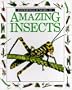 Amazing Insects (Eyewitness Juniors)