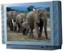 Toshiba 32AF41 32" FST Pure Flat Screen TV