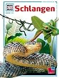 Schlangen