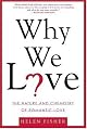 Why We Love: The Nature and Chemistry of Romantic Love