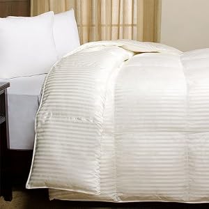 Joseph Abboud 525TC Silk and Cotton Down Comforter, Full Queen by Joseph Abboud