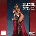 John Zelesnik Fantasy Pin-Up 2011 Calendar