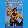 The Lost Years of Merlin: The Lost Years of Merlin, Book One