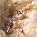 Sweet Korean Fashion Lady Girls Rhinestone Crown Love Heart Stud Earrings Pin