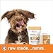 Sojos Crunchy Natural Grain Free Dog Treats, Lamb & Sweet Potato, 10-Ounce Box