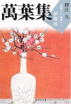 萬葉集釋注 9 集英社文庫ヘリテージシリーズ