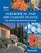 Book Subtropical and Dry Climate Plants: The Definitive Practical Guide