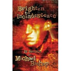 Brighten to Incandescence: 17 Stories