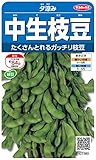 サカタのタネ 実咲野菜7380 中生枝豆 夕涼み 00927380 サカタのタネ 実咲野菜7380 中生枝豆 夕涼み 00927380