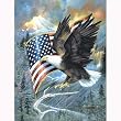 American Eagle 100pc Jigsaw Puzzle