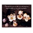 Winter Roses - Box Set of 12 Greeting Cards and Patterned Envelopes